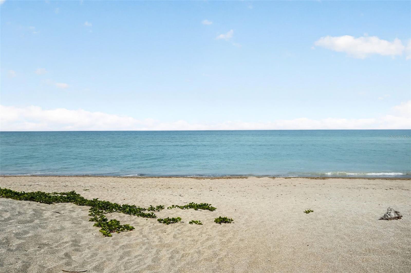 633 ALHAMBRA RD #205, VENICE, FL, 34285