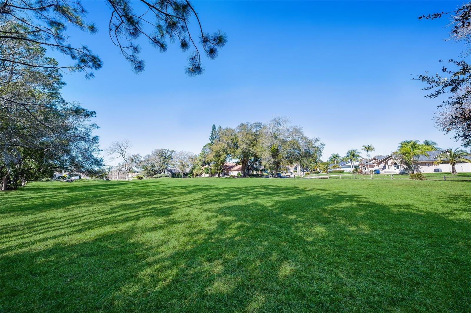 2823 CHALLENGER DR, PALM HARBOR, FL, 34683