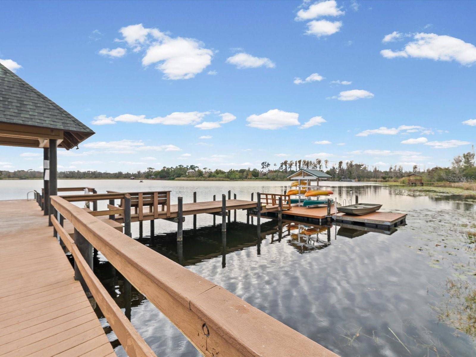 21014 FOLLENSBY CT, LAND O LAKES, FL, 34637