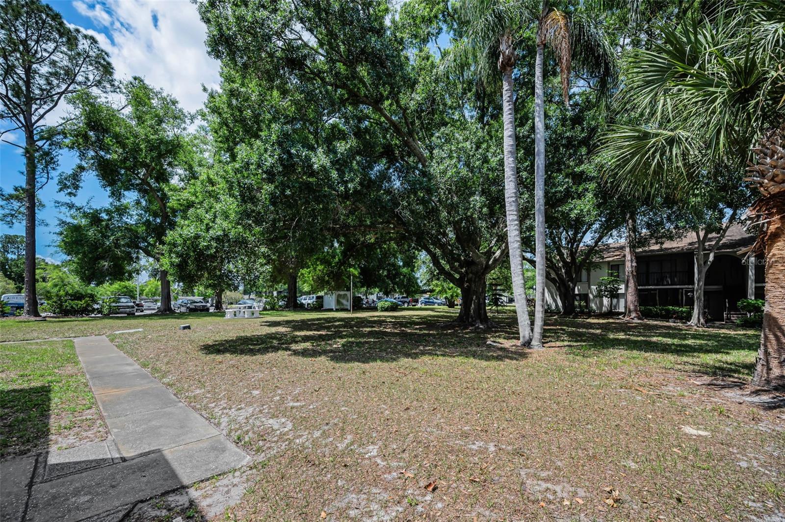 2600 PINE RIDGE WAY S #A2, PALM HARBOR, FL, 34684