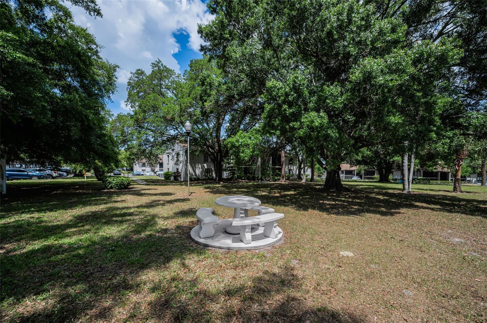 2600 PINE RIDGE WAY S #A2, PALM HARBOR, FL, 34684