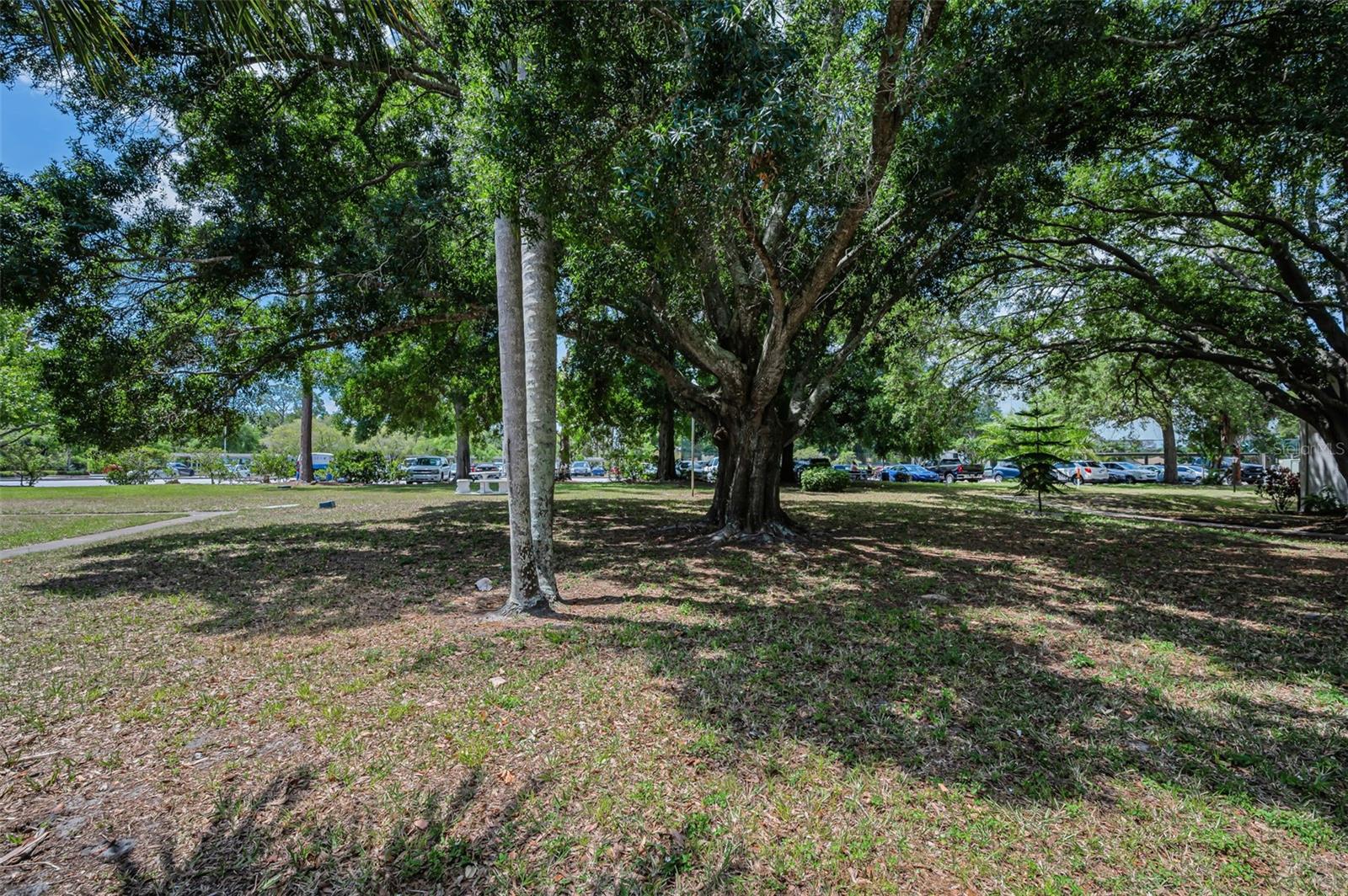 2600 PINE RIDGE WAY S #A2, PALM HARBOR, FL, 34684