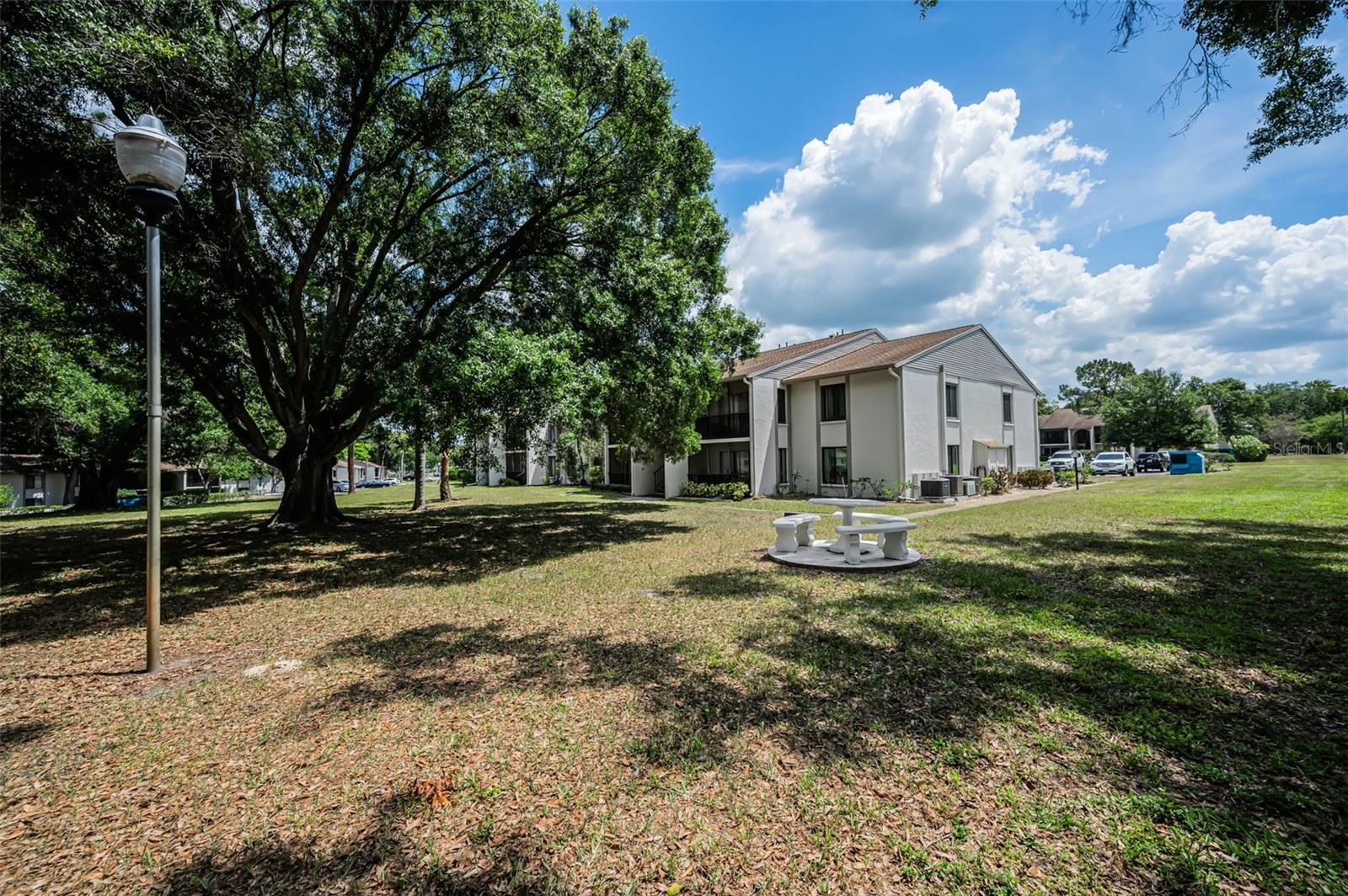 2600 PINE RIDGE WAY S #A2, PALM HARBOR, FL, 34684