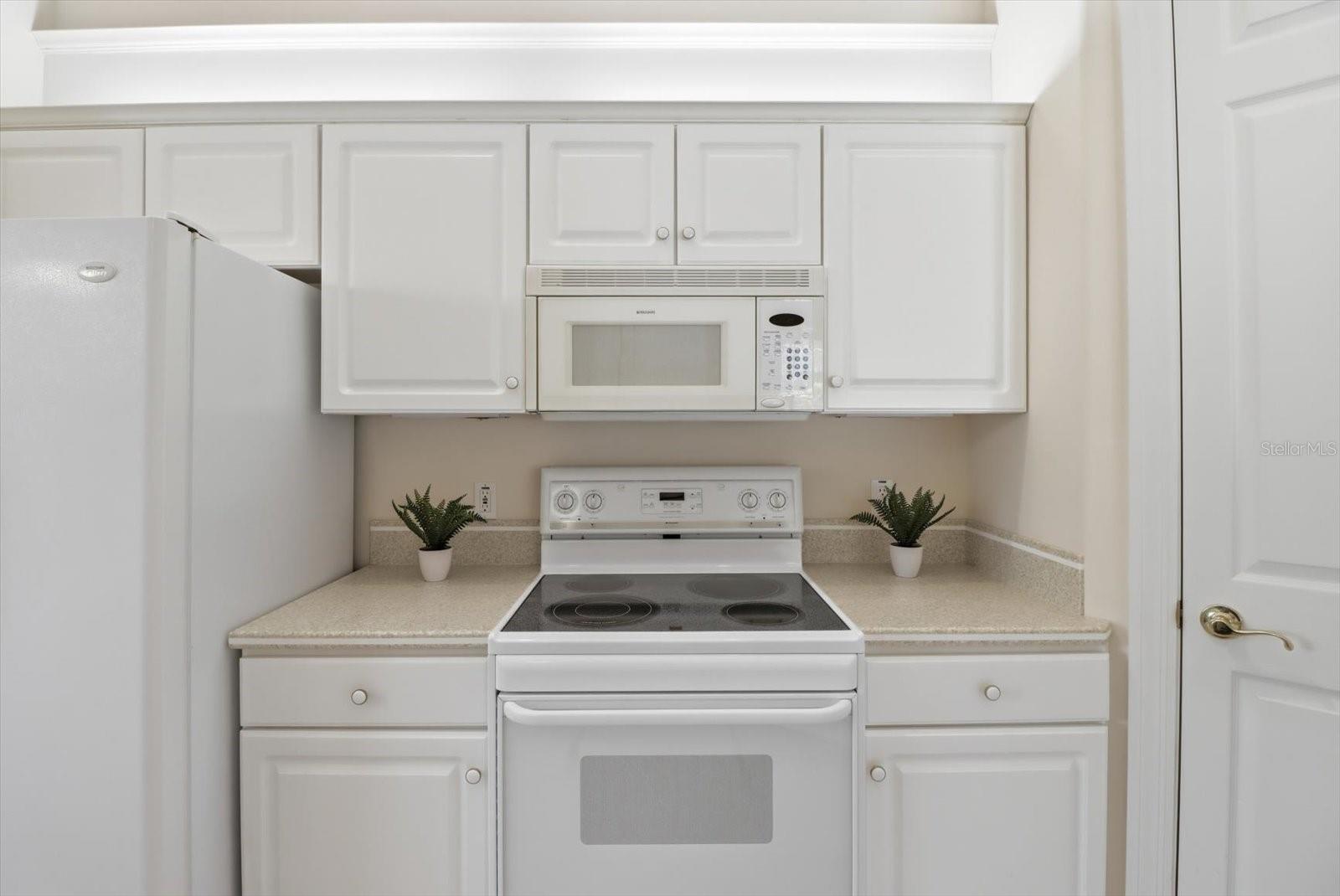 4732 N PINE VALLEY LOOP, LECANTO, FL, 34461