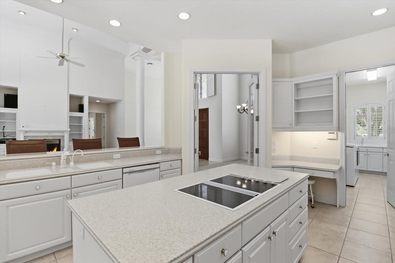 4732 N PINE VALLEY LOOP, LECANTO, FL, 34461