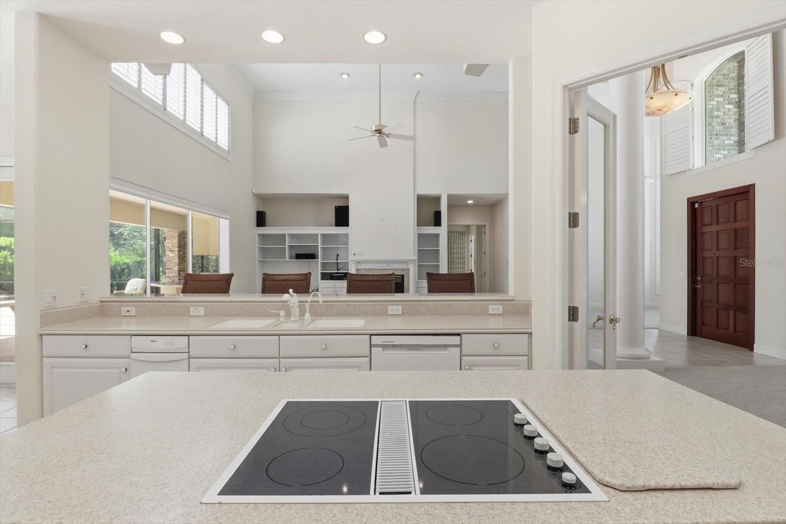 4732 N PINE VALLEY LOOP, LECANTO, FL, 34461