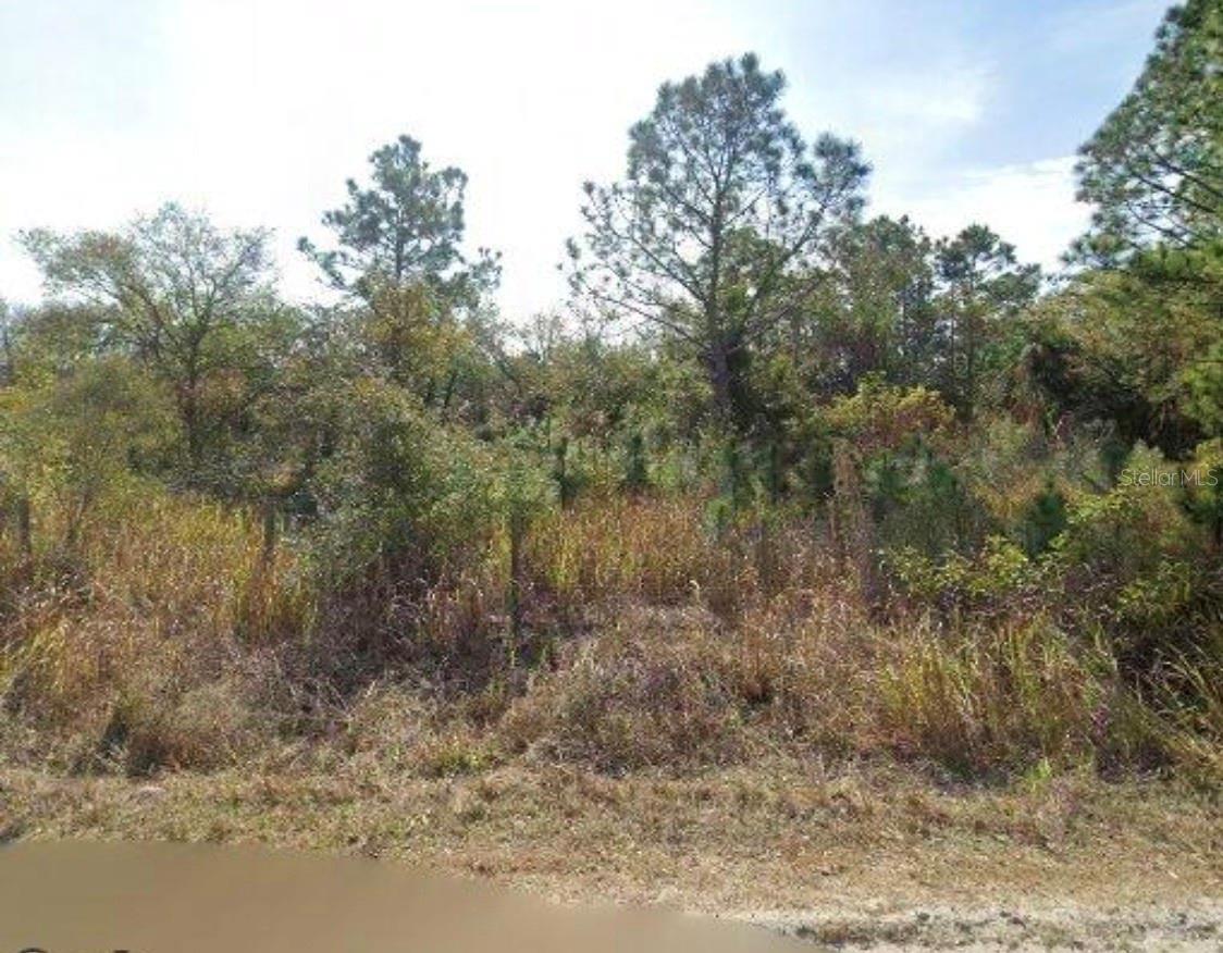 13620 HIGHLAND RD, WIMAUMA, FL, 33598