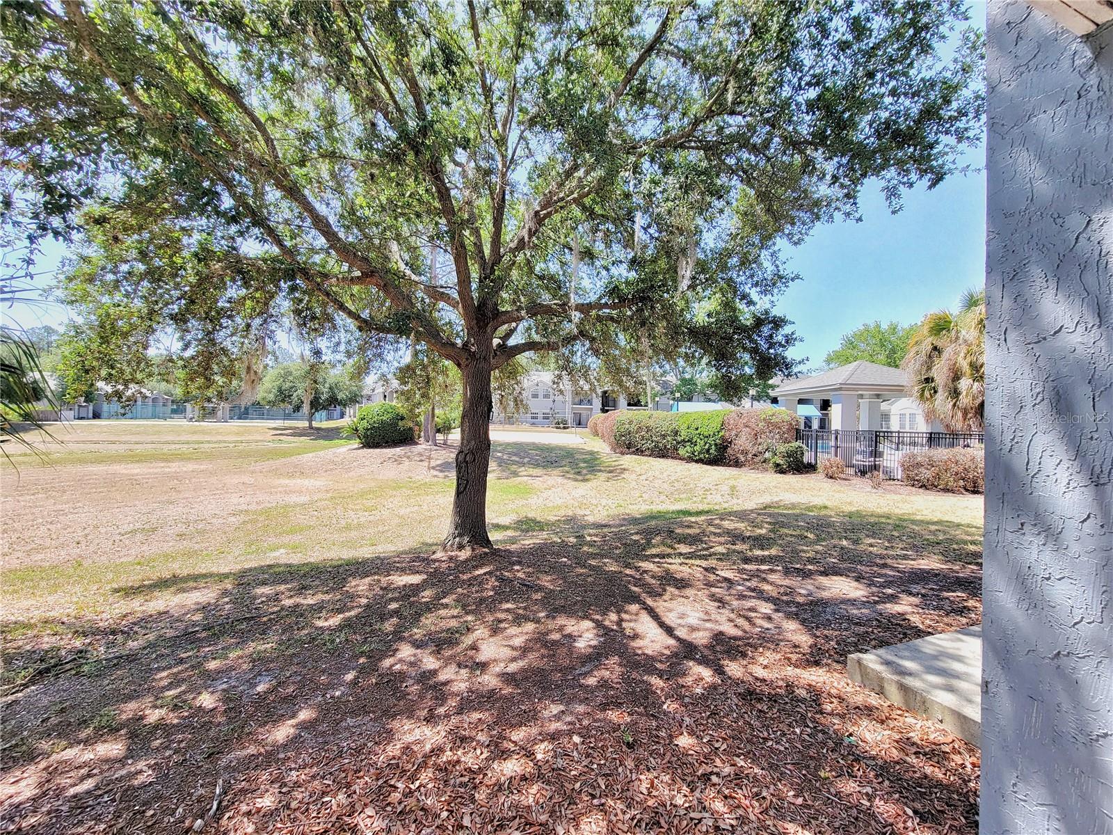 3705 SW 27TH ST #316, GAINESVILLE, FL, 32608