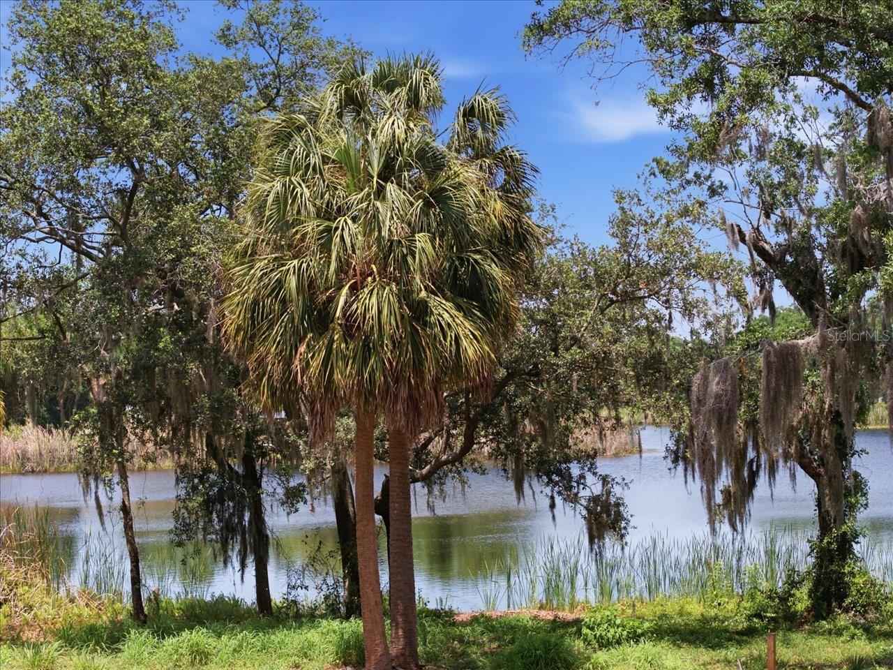 8901 S MOBLEY RD, TAMPA, FL, 33626