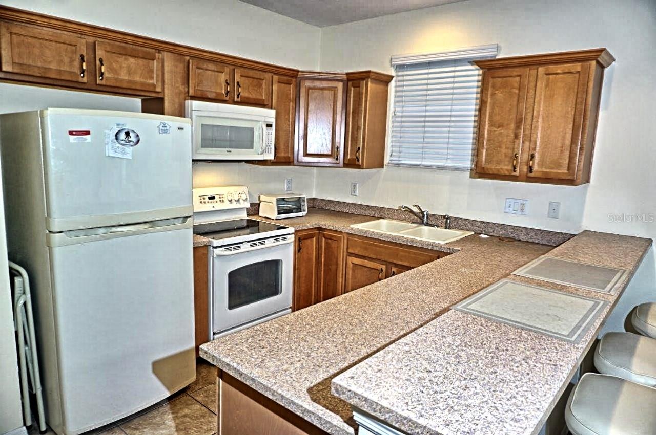 6402 BARCELLONA RD, LAND O LAKES, FL, 34637