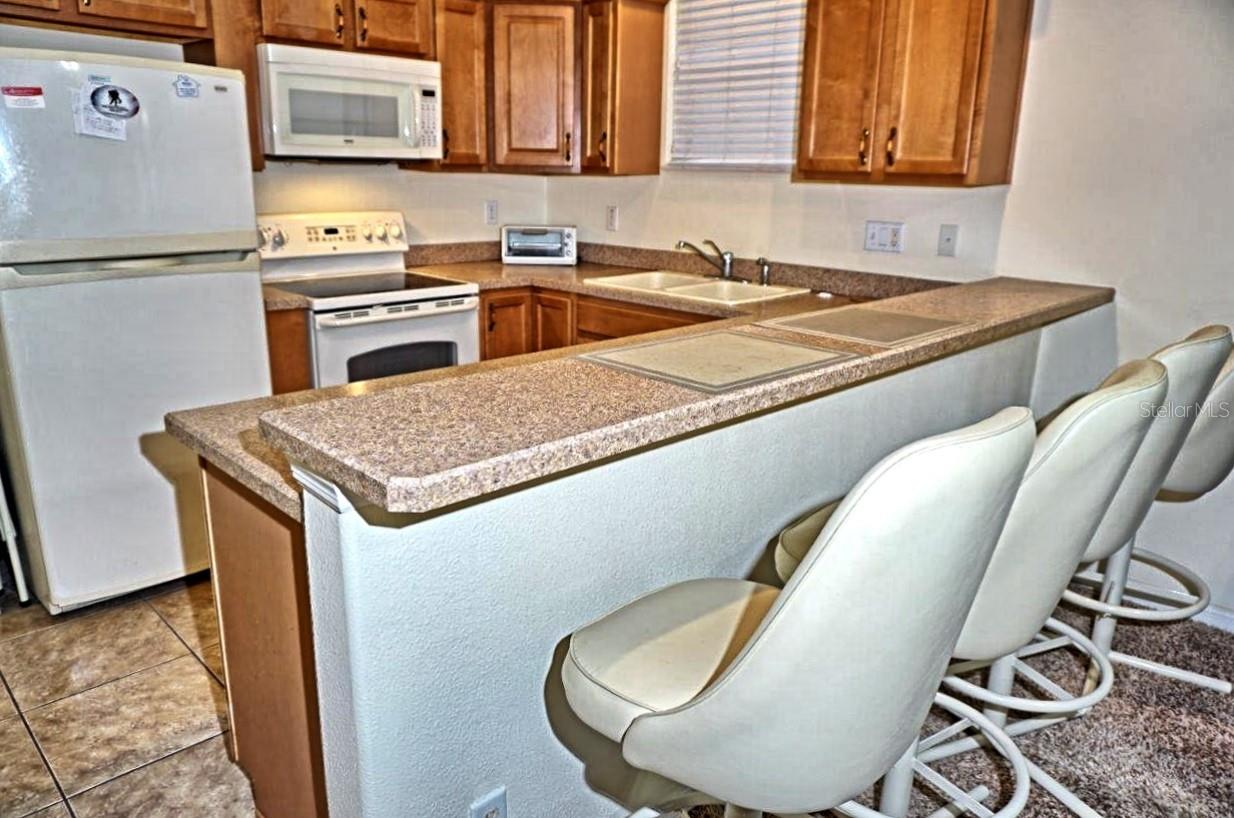 6402 BARCELLONA RD, LAND O LAKES, FL, 34637