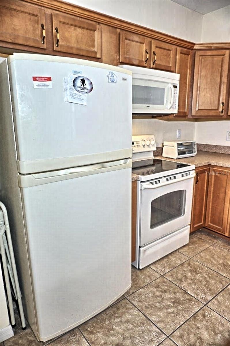 6402 BARCELLONA RD, LAND O LAKES, FL, 34637
