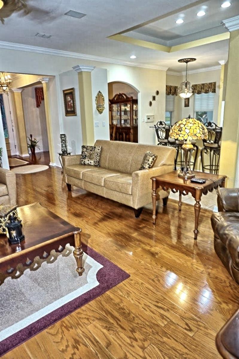 6402 BARCELLONA RD, LAND O LAKES, FL, 34637