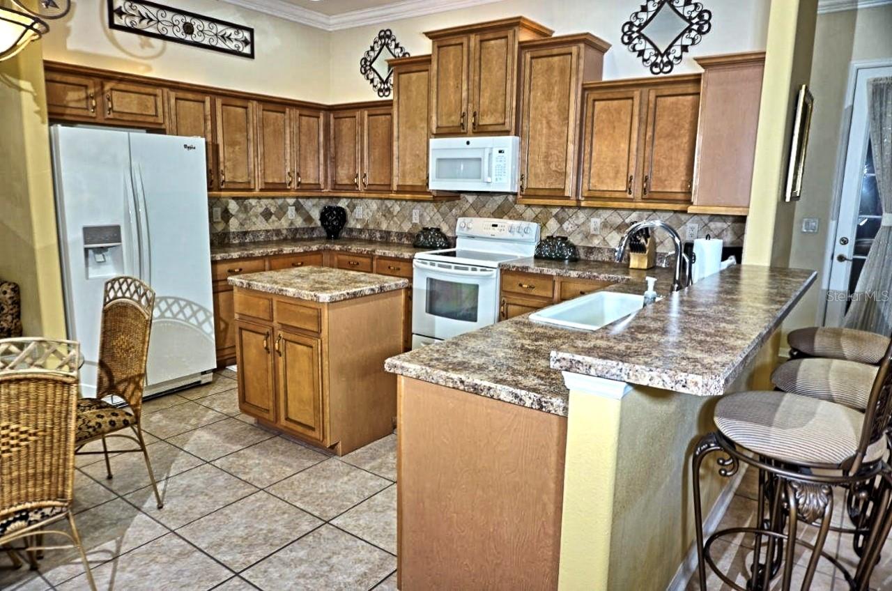 6402 BARCELLONA RD, LAND O LAKES, FL, 34637