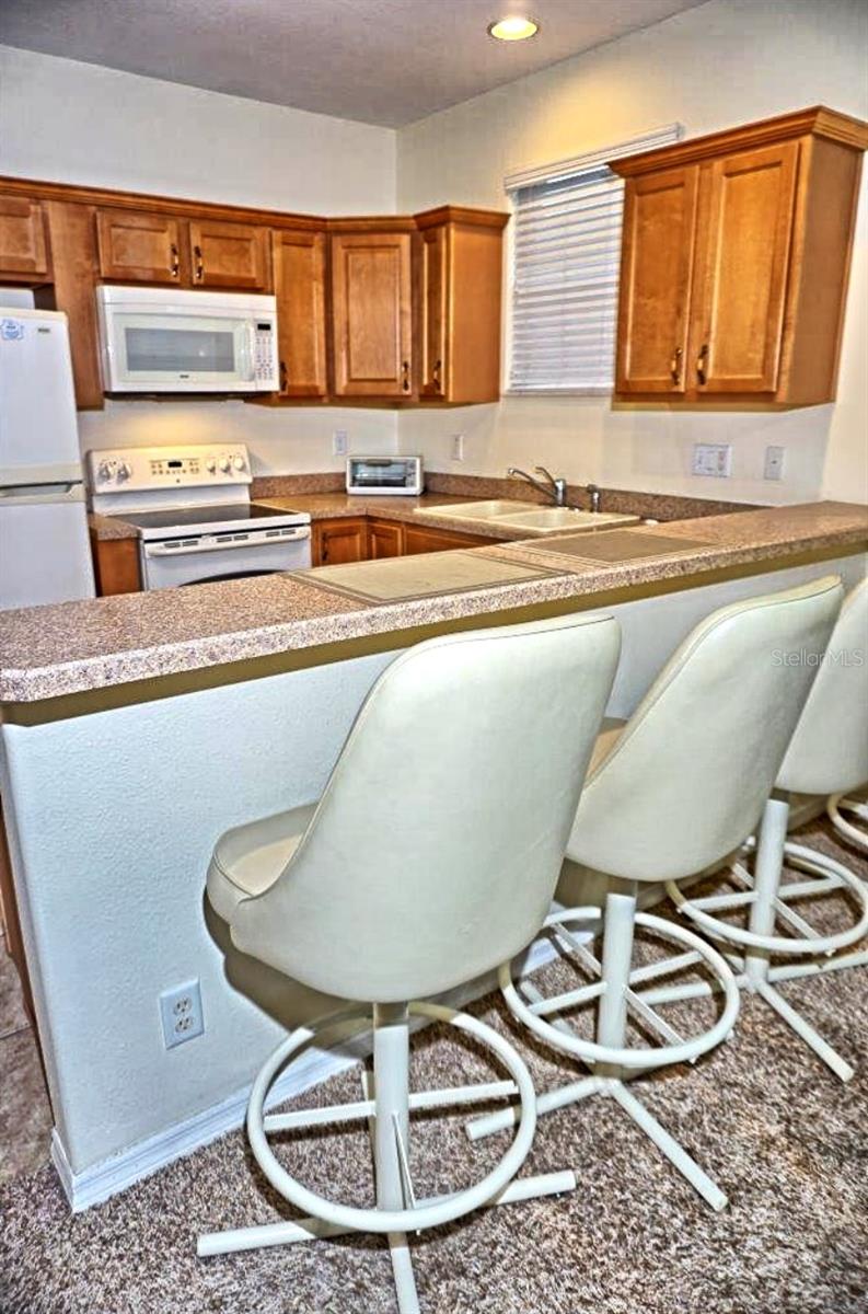 6402 BARCELLONA RD, LAND O LAKES, FL, 34637