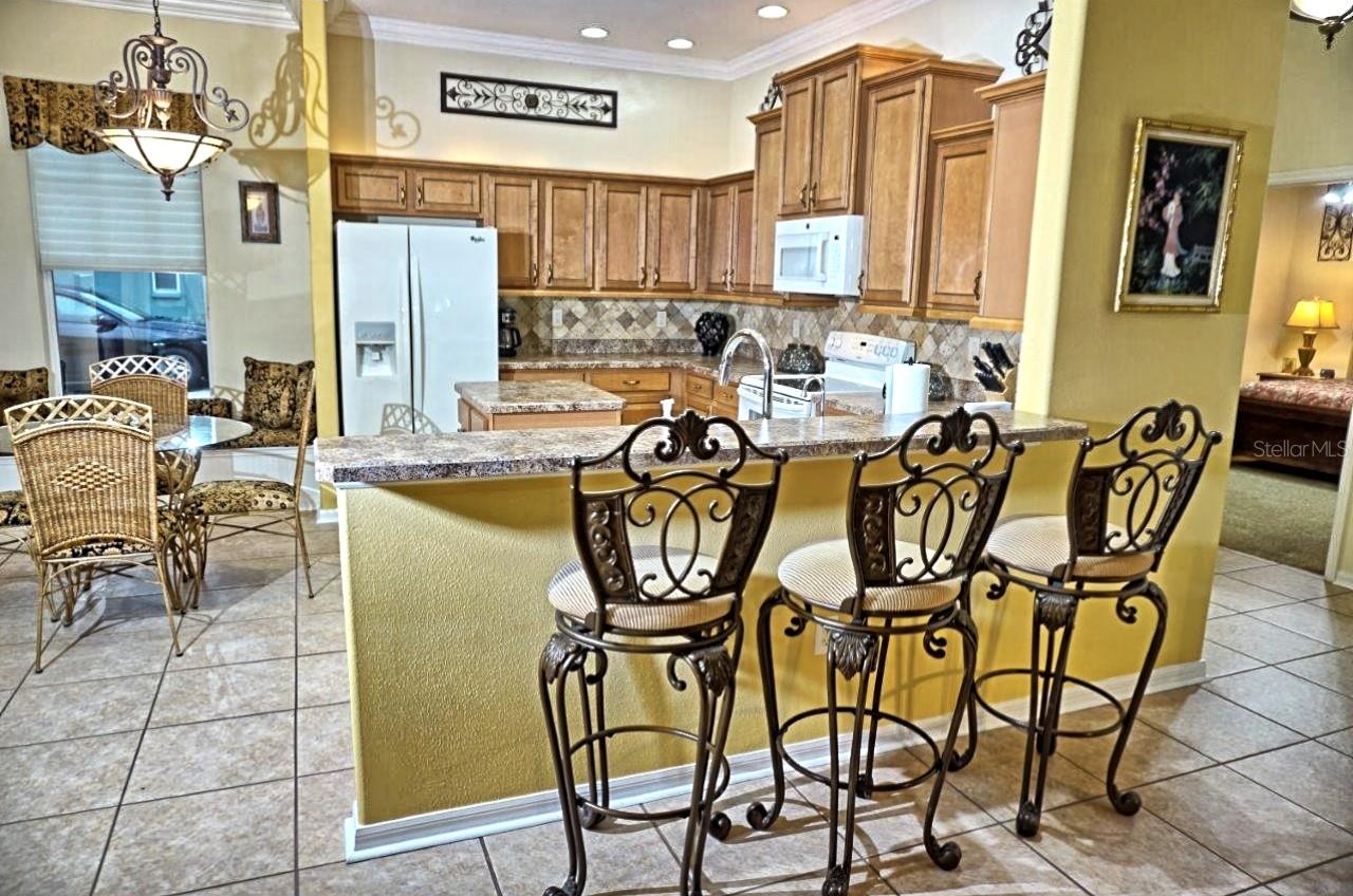 6402 BARCELLONA RD, LAND O LAKES, FL, 34637