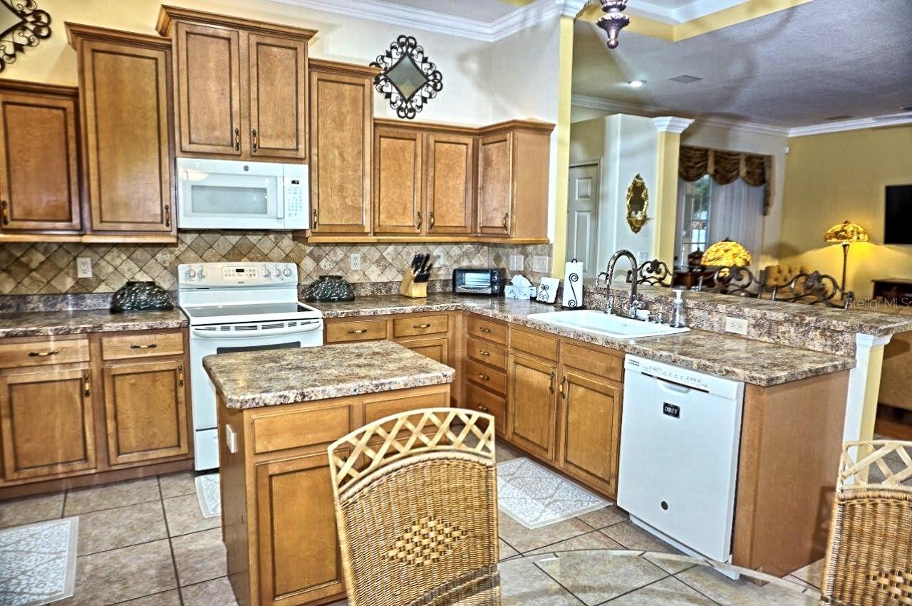 6402 BARCELLONA RD, LAND O LAKES, FL, 34637