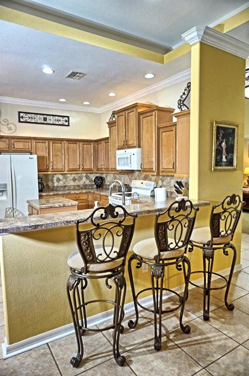 6402 BARCELLONA RD, LAND O LAKES, FL, 34637