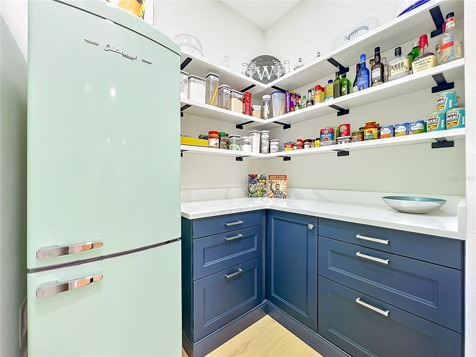 217 W BAY ST, WINTER GARDEN, FL, 34787