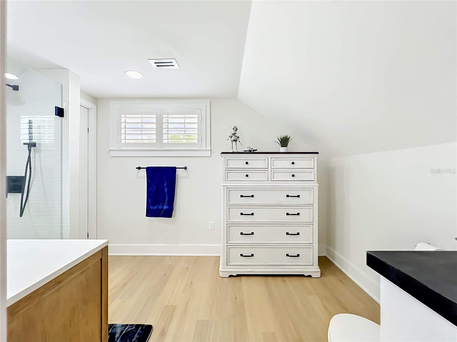 217 W BAY ST, WINTER GARDEN, FL, 34787