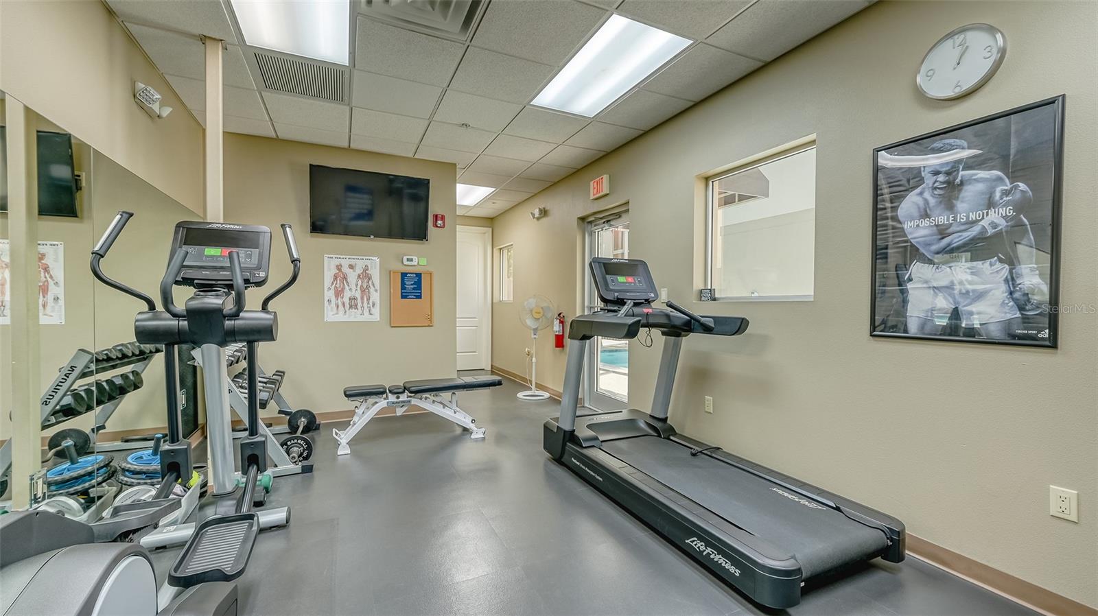 235 COCOANUT AVE #113C, SARASOTA, FL, 34236