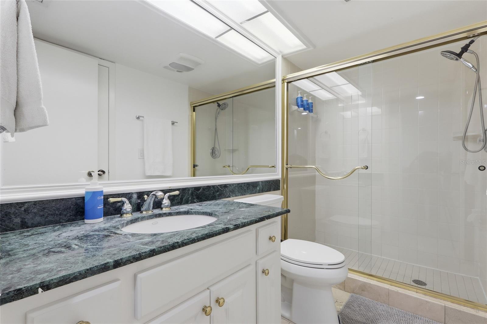 29300 BAY HOLLOW DR #3257, WESLEY CHAPEL, FL, 33543