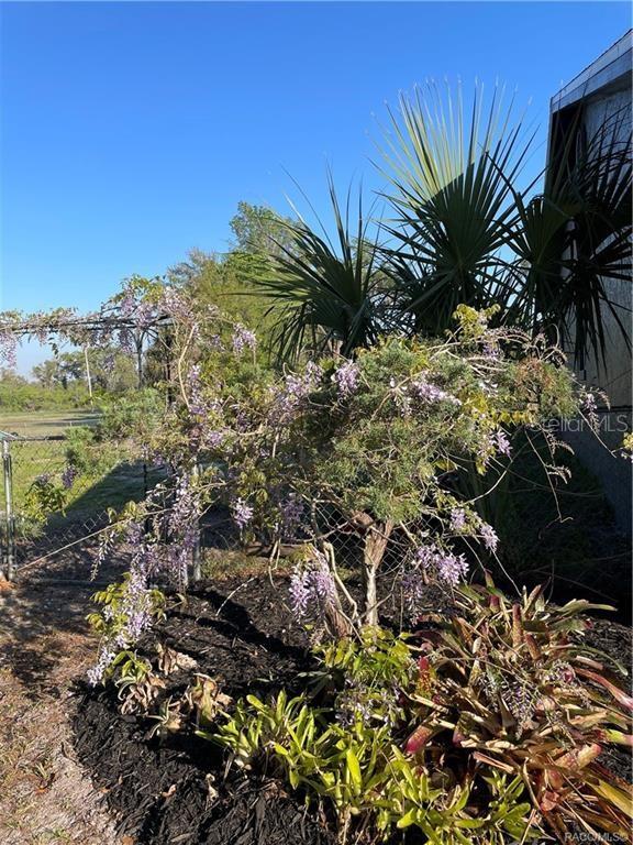 7533 E APPLEWOOD DR, INVERNESS, FL, 34450