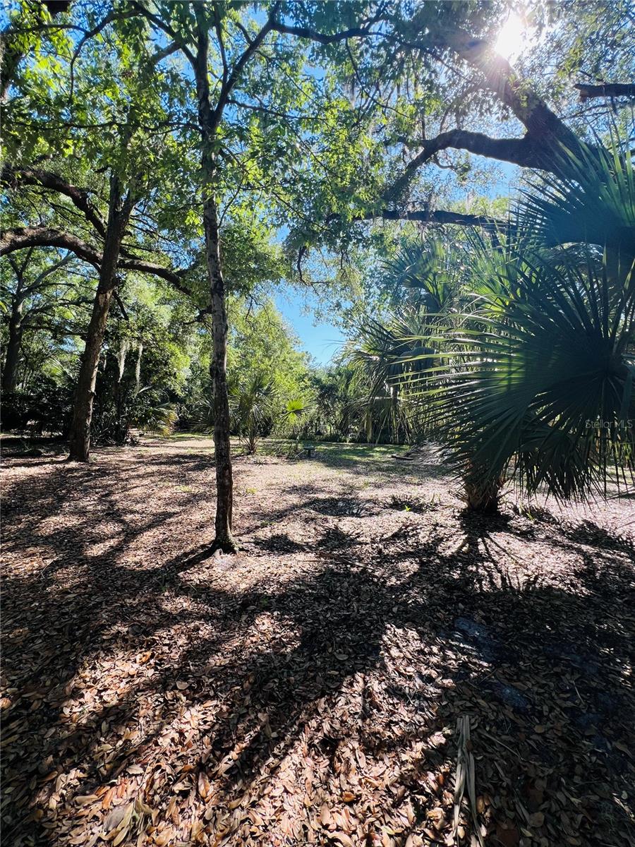 4420 BAILEY RD, MULBERRY, FL, 33860