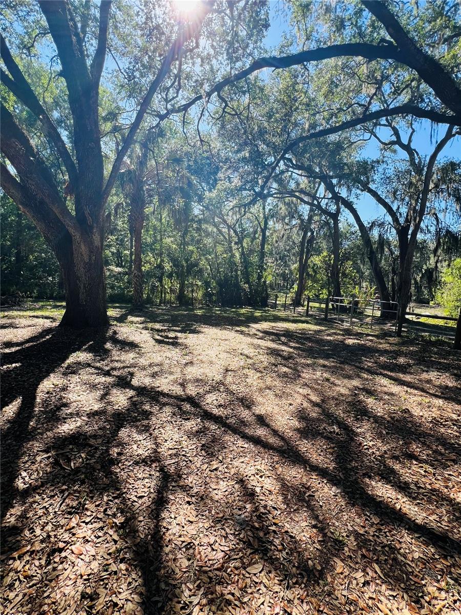 4420 BAILEY RD, MULBERRY, FL, 33860
