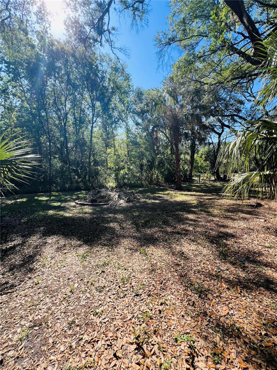 4420 BAILEY RD, MULBERRY, FL, 33860