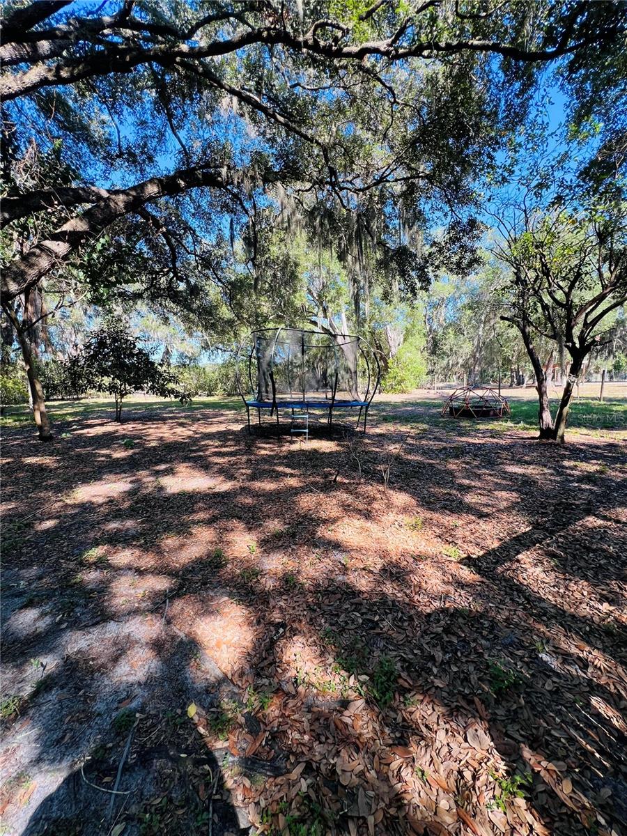 4420 BAILEY RD, MULBERRY, FL, 33860