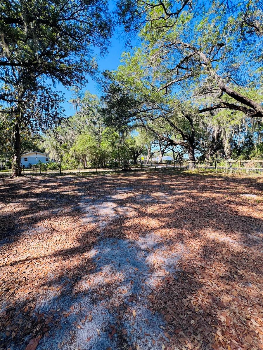 4420 BAILEY RD, MULBERRY, FL, 33860