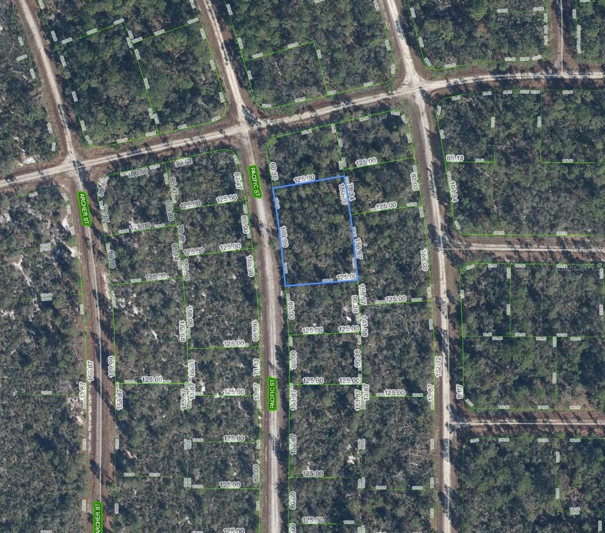 719 PACIFIC ST, LAKE PLACID, FL, 33852