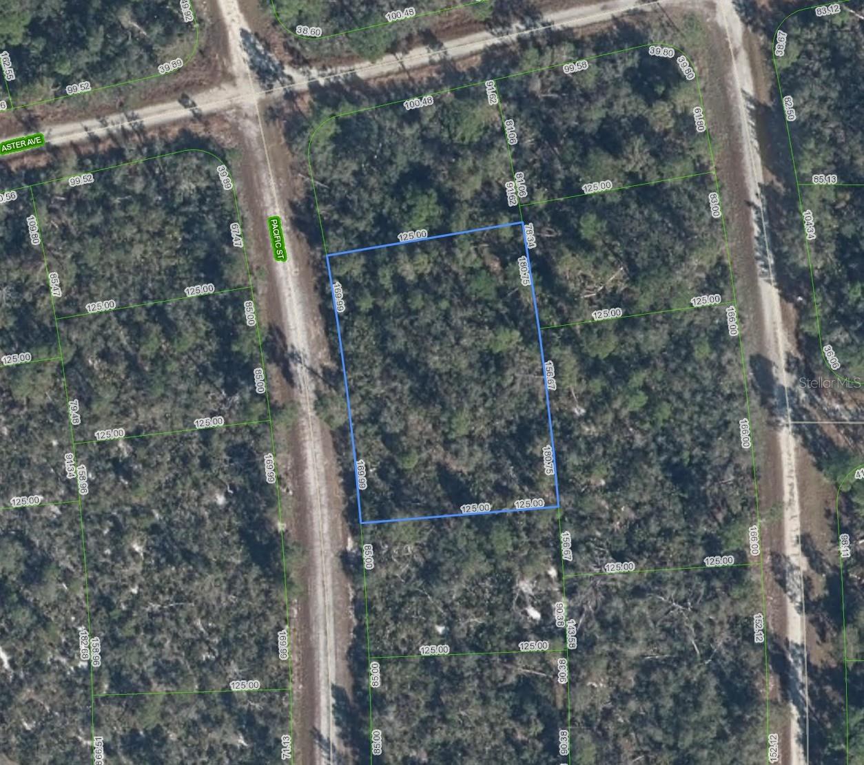 719 PACIFIC ST, LAKE PLACID, FL, 33852