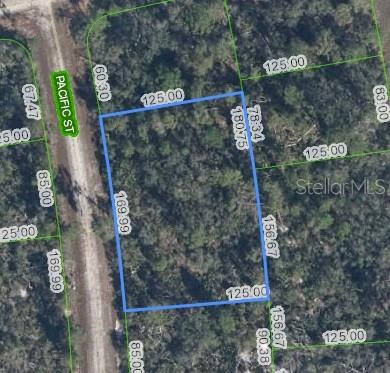 719 PACIFIC ST, LAKE PLACID, FL, 33852