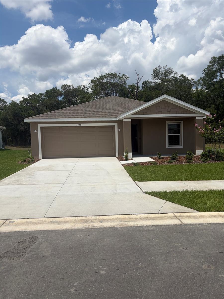 15886 SE 101ST CIR, SUMMERFIELD, FL, 34491