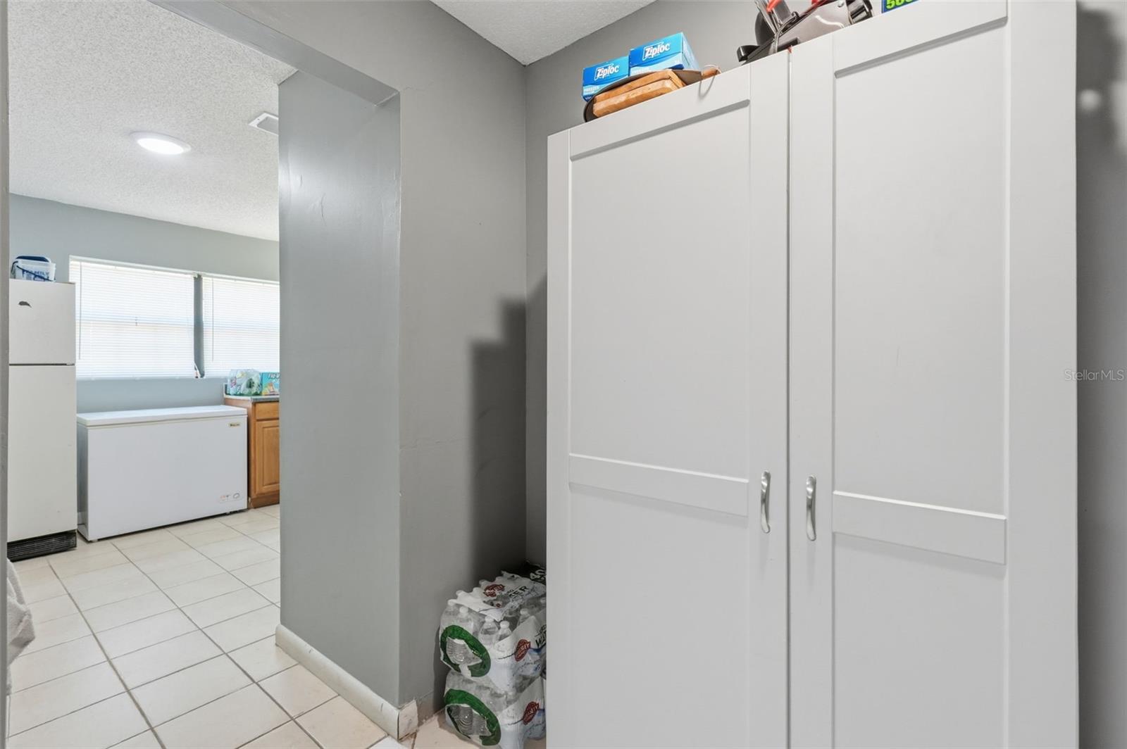 3607 CR 656, WEBSTER, FL, 33597
