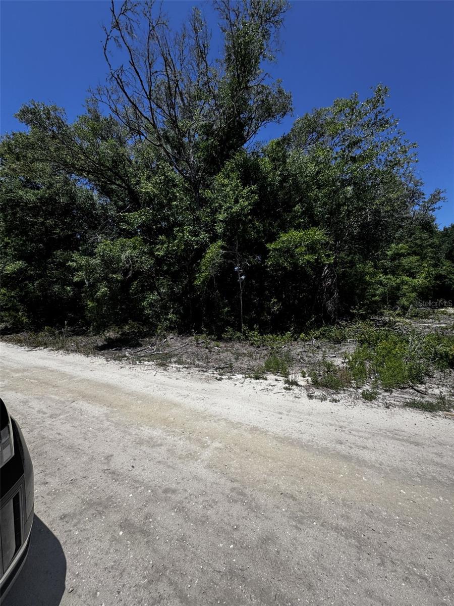 0 SW 104TH LN, DUNNELLON, FL, 34432