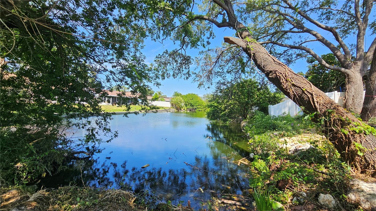3442 OVERLAND DR, HOLIDAY, FL, 34691