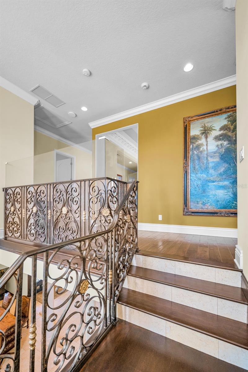 10031 MILANO DR, TRINITY, FL, 34655