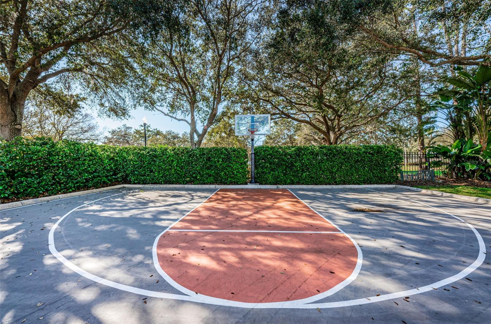10031 MILANO DR, TRINITY, FL, 34655