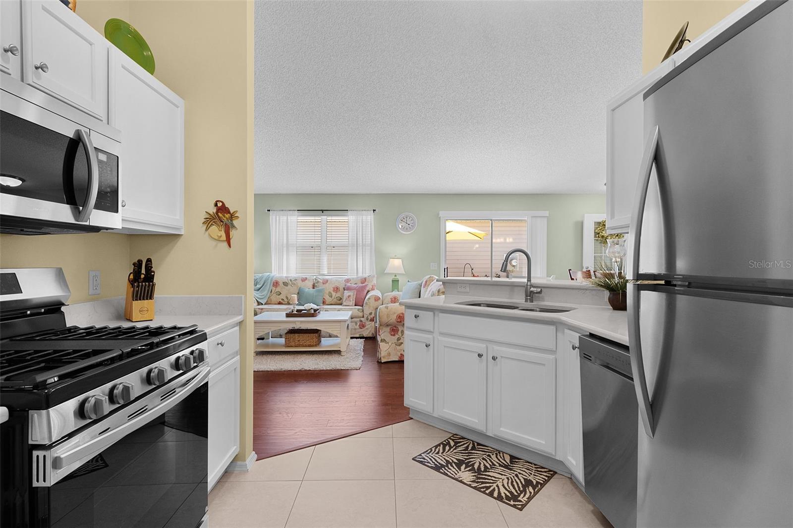 2437 SOUTHERN OAK ST, THE VILLAGES, FL, 32162