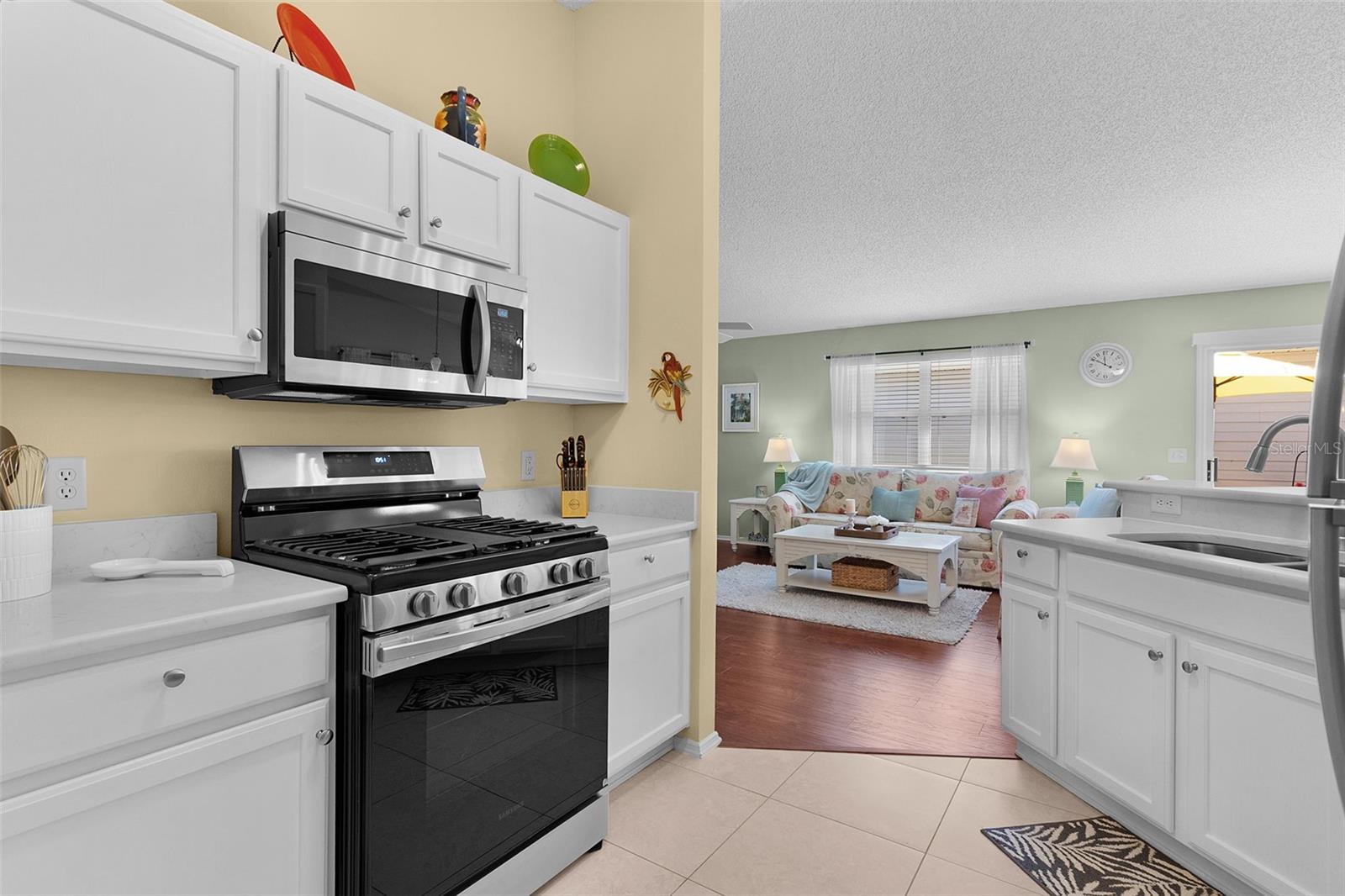 2437 SOUTHERN OAK ST, THE VILLAGES, FL, 32162