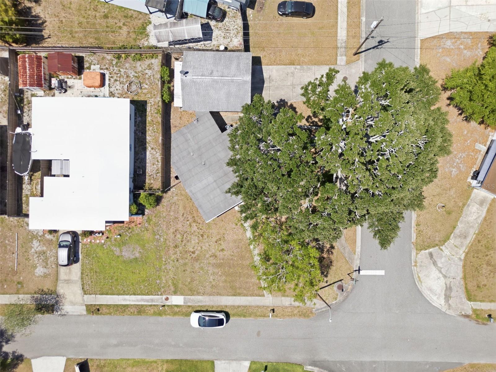 481 KENTIA RD, CASSELBERRY, FL, 32707