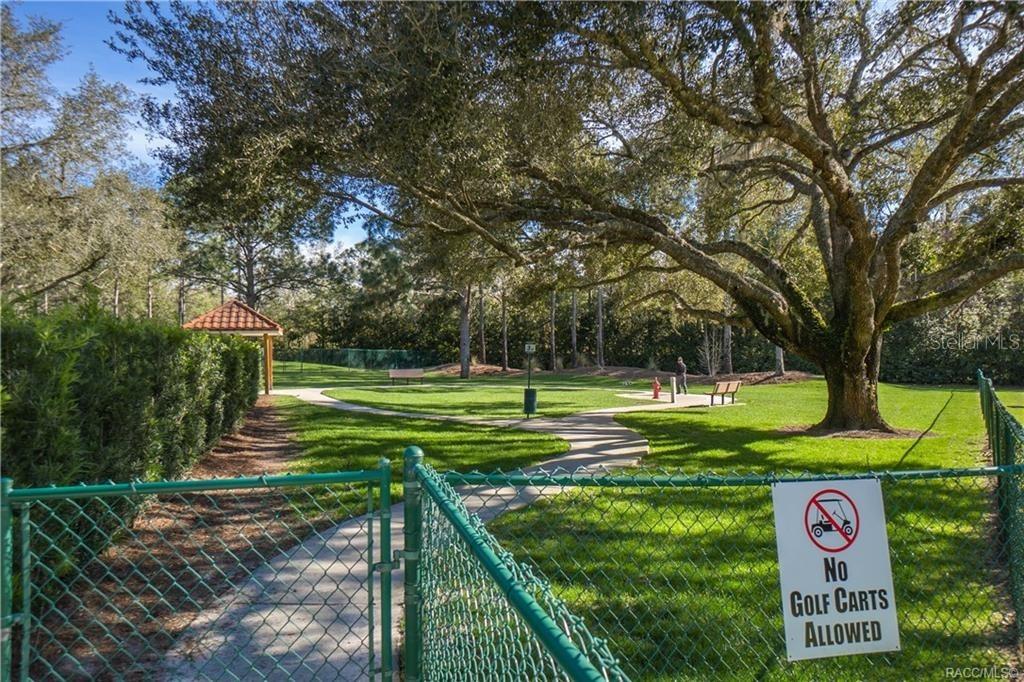 1555 E SEATTLE SLEW CIR, INVERNESS, FL, 34453