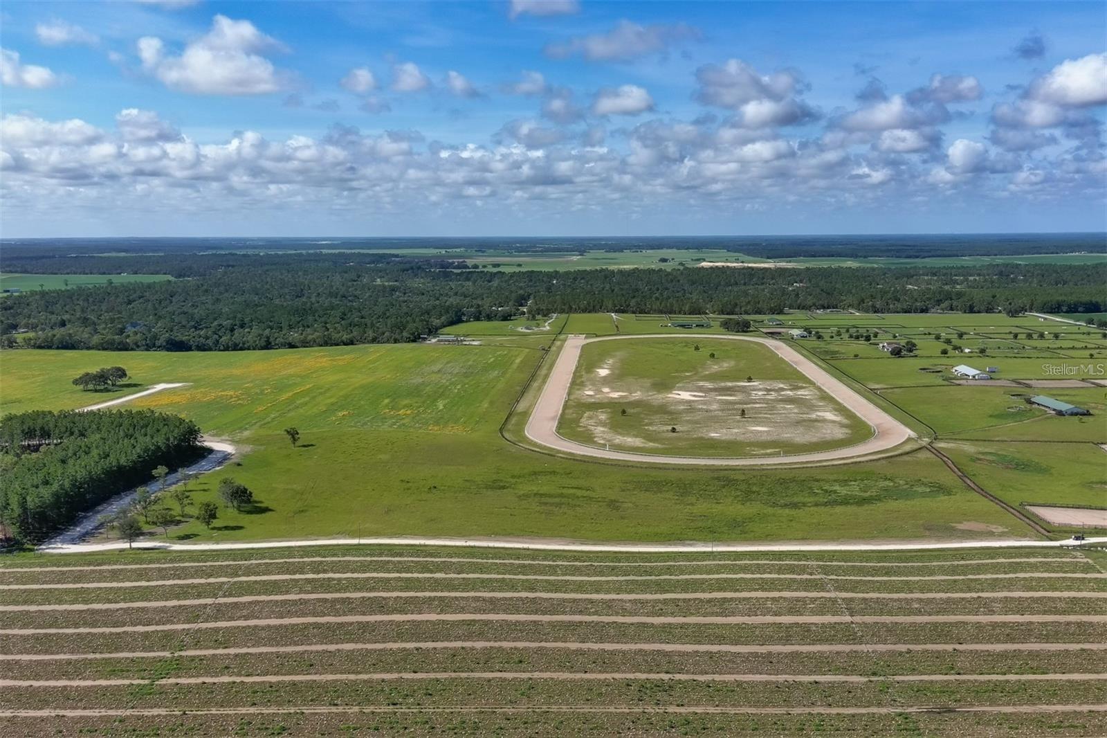 2351 NE 120 AVENUE, WILLISTON, FL, 32696