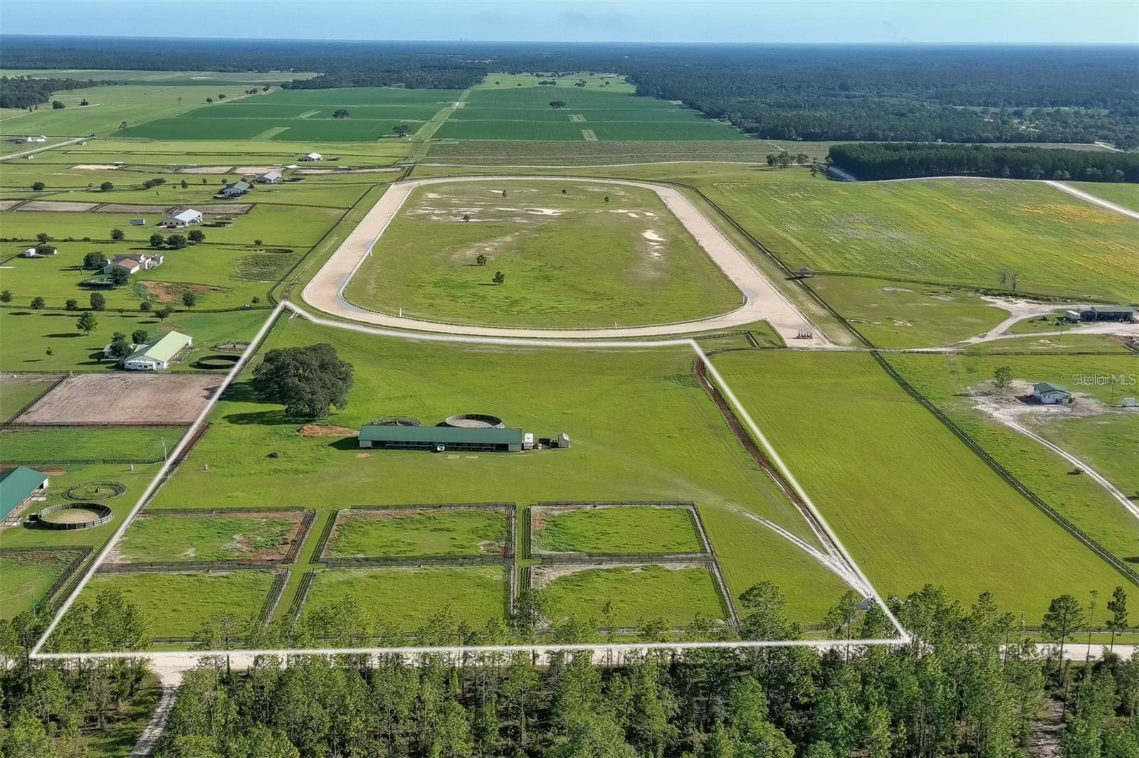 2351 NE 120 AVENUE, WILLISTON, FL, 32696