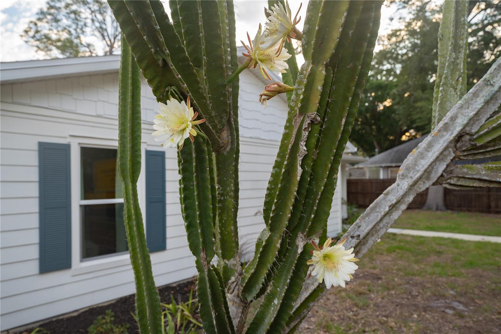 7979 48TH AVE N, ST PETERSBURG, FL, 33709