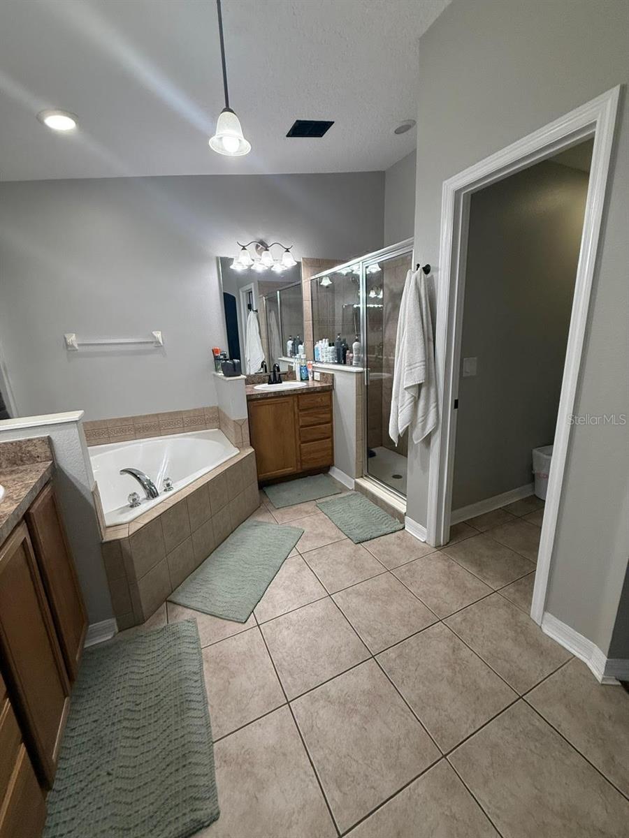 41430 ROGER GILES RD, UMATILLA, FL, 32784