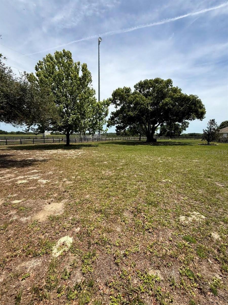 41430 ROGER GILES RD, UMATILLA, FL, 32784